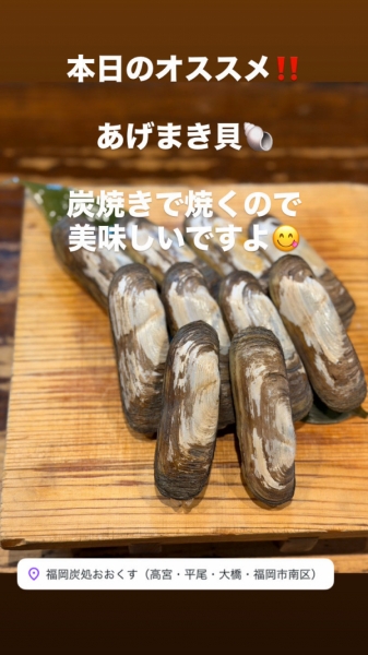 あげまき貝